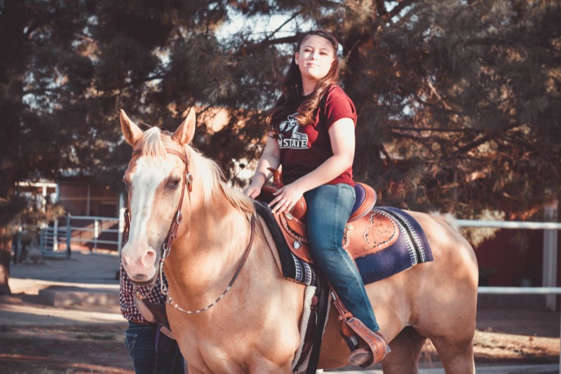 Portrait on horseback